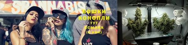 соль ск Бронницы