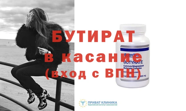 сатива Бородино