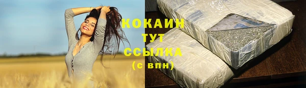 сатива Бородино
