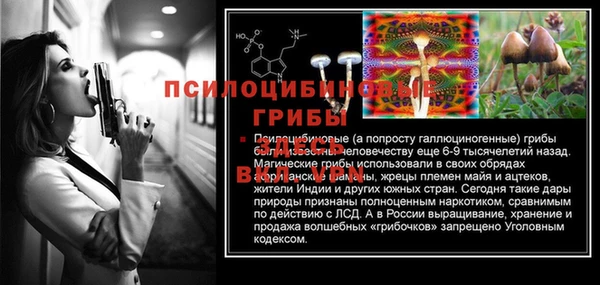 MESCALINE Богданович