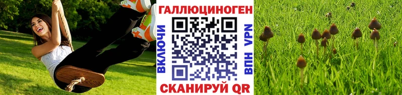 Галлюциногенные грибы GOLDEN TEACHER  Мезень 