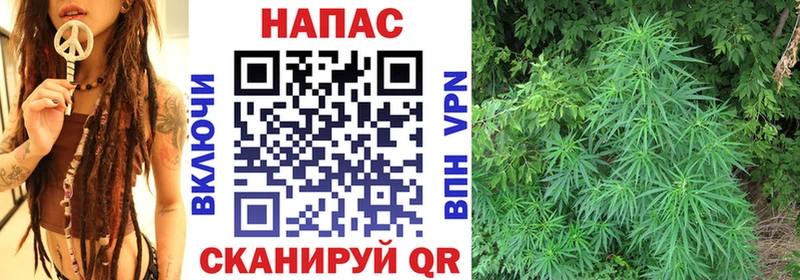 мега зеркало  Мезень  Каннабис план  закладка 
